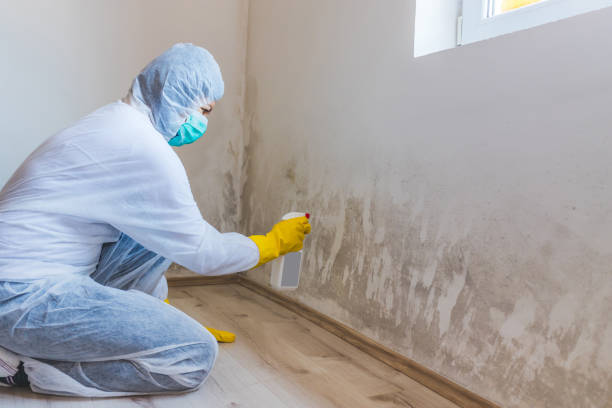Crawl Space Mold Removal in Granville South, OH