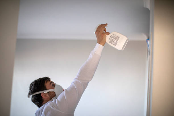 Best Mold Removal Company Near Me  in Granville South, OH