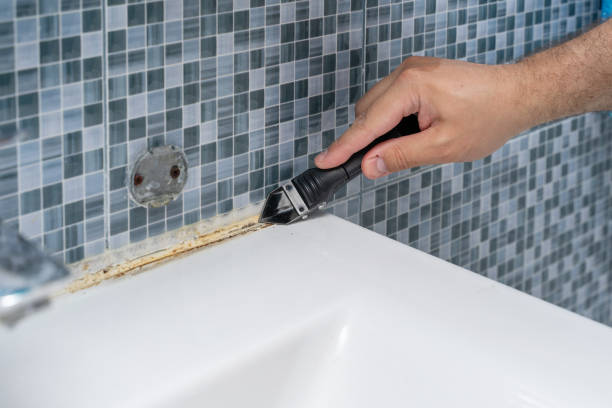 Professional Mold Removal in Granville South, OH