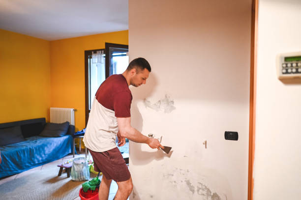 Mold Removal Process in Granville South, OH